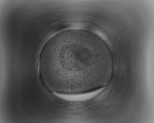 X0000088891275200706151823