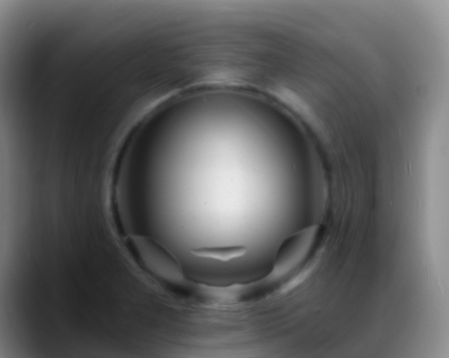 X0000088891277200706151823