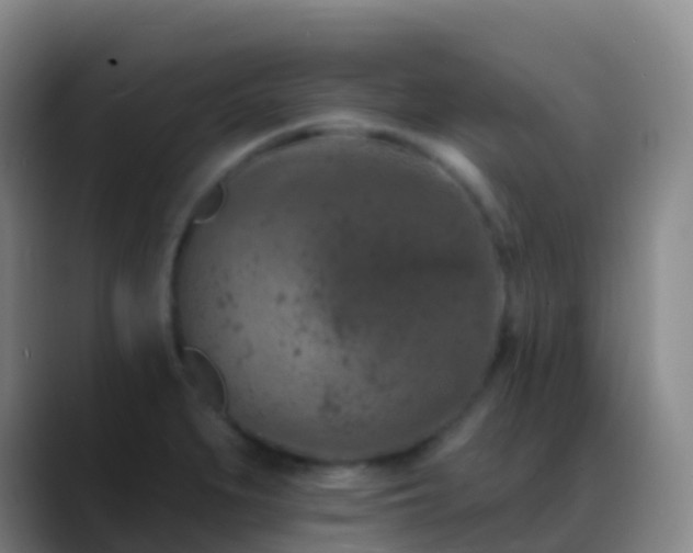 X0000088891279200706151823