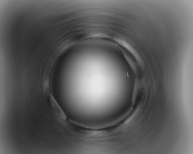 X0000088891281200706151823