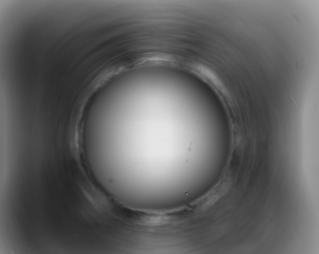 X0000088891282200706151823