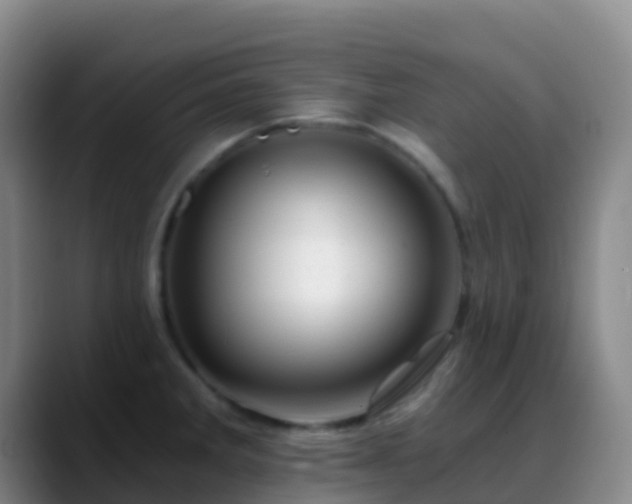 X0000088891285200706151823