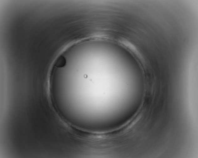 X0000088891286200706151823