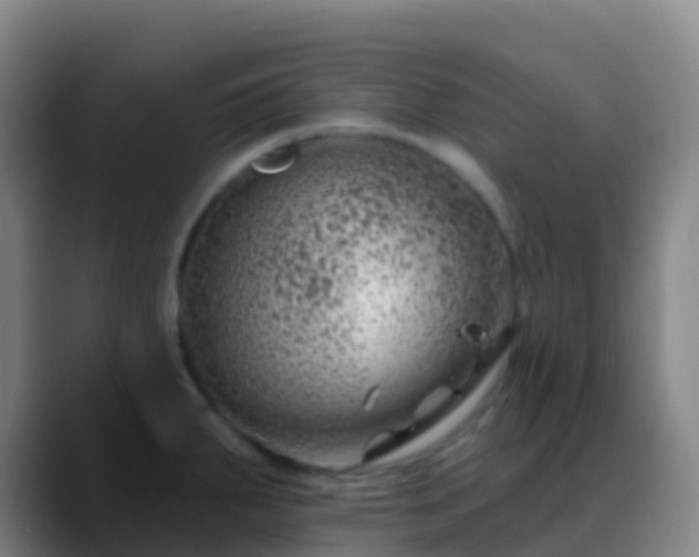 X0000088891287200706151823