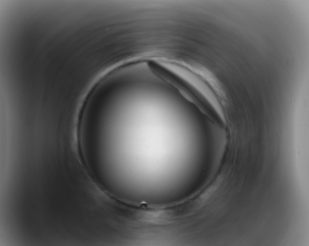 X0000088891288200706151823