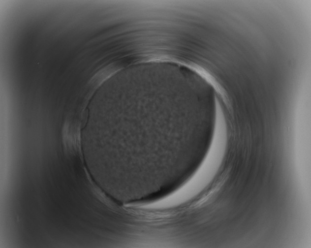 X0000088891289200706151823