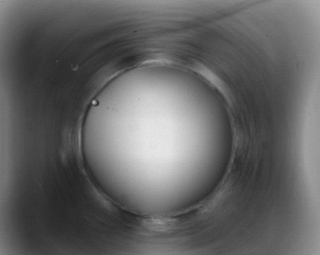 X0000088891290200706151823