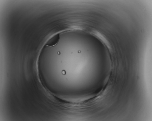 X0000088891291200706151823