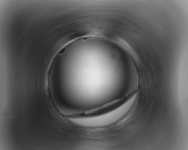 X0000088891292200706151823