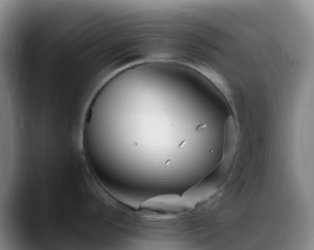 X0000088891296200706151823