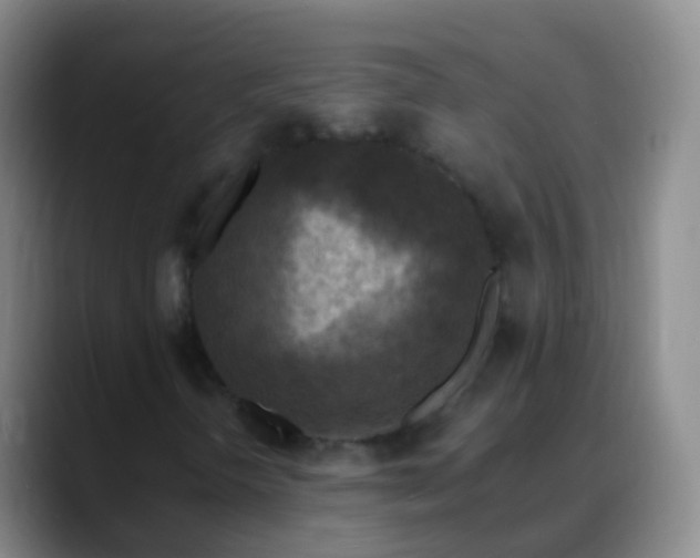 X0000088891298200706151822