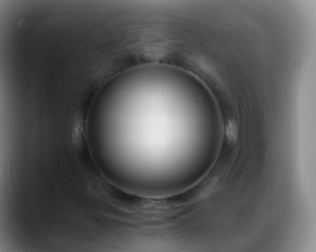 X0000088891299200706151822