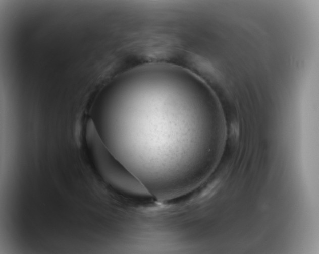 X0000088891300200706151822