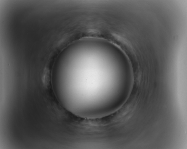 X0000088891301200706151822