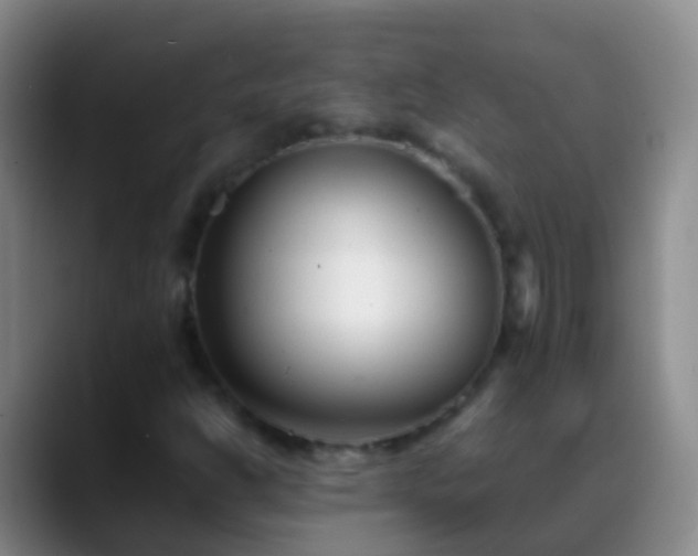 X0000088891302200706151822