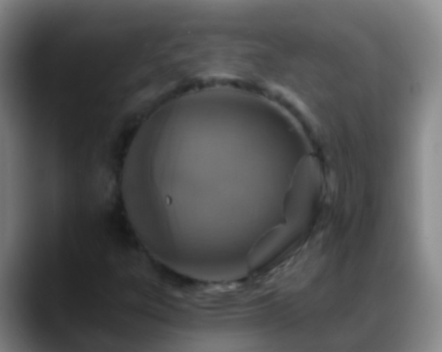 X0000088891303200706151822