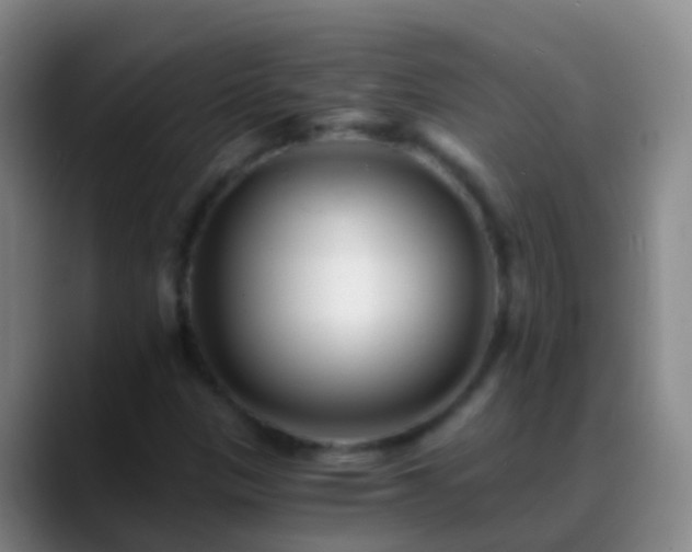 X0000088891305200706151822