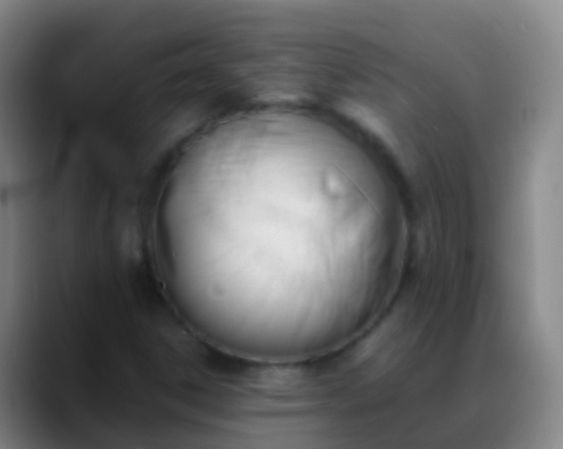 X0000088891306200706151822