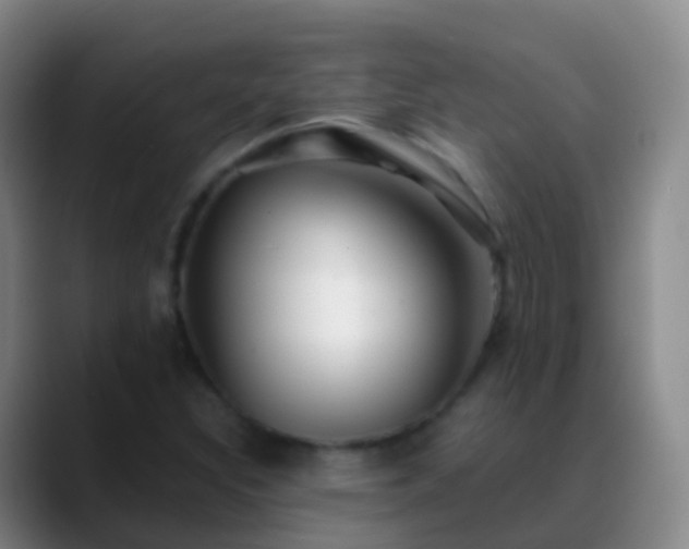 X0000088891308200706151822