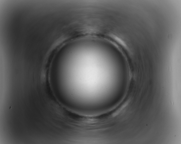 X0000088891309200706151822