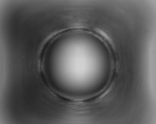 X0000088891310200706151822