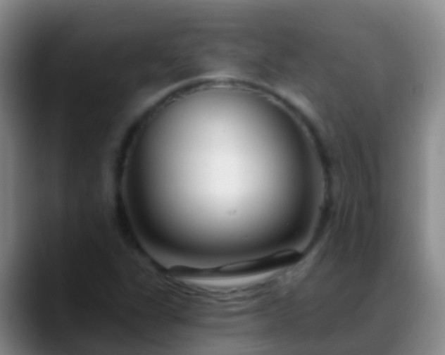 X0000088891311200706151822