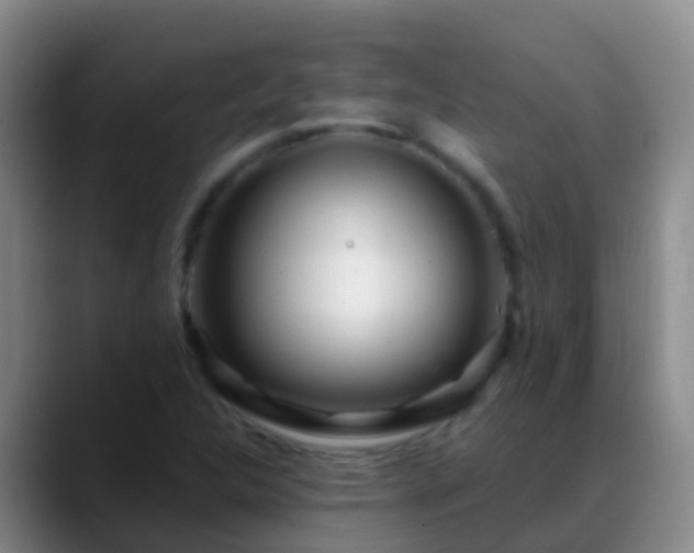 X0000088891312200706151822