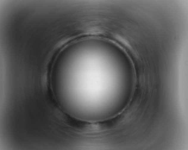 X0000088891315200706151822