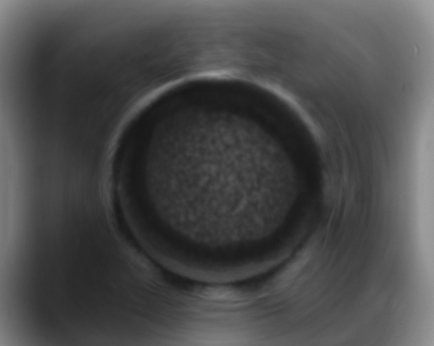 X0000088891319200706151822