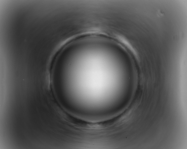 X0000088891320200706151822