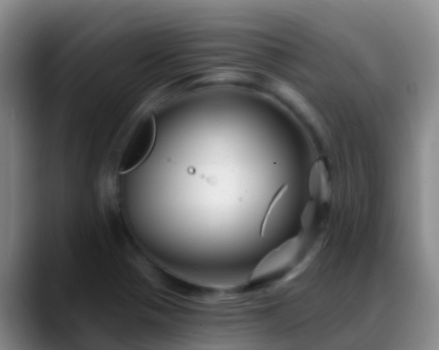 X0000088891321200706151822