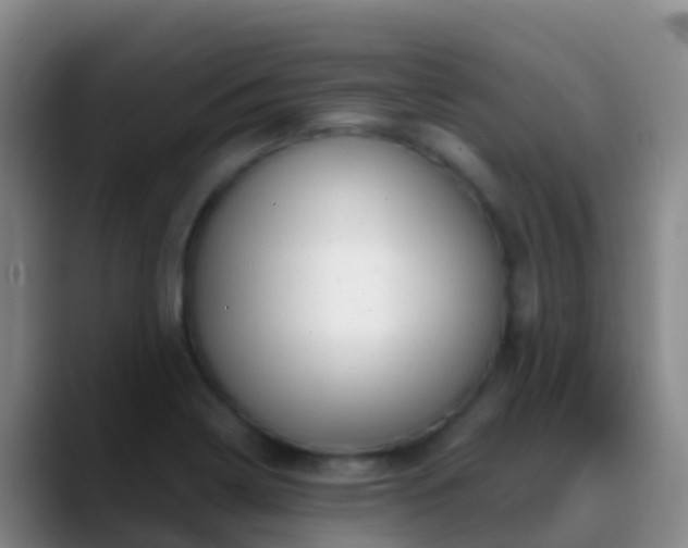 X0000088891322200706151822