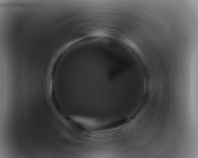 X0000088891323200706151822