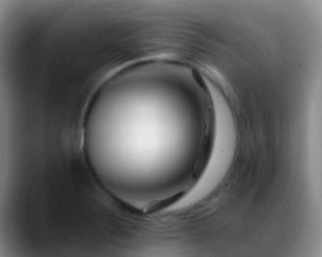 X0000088891324200706151822