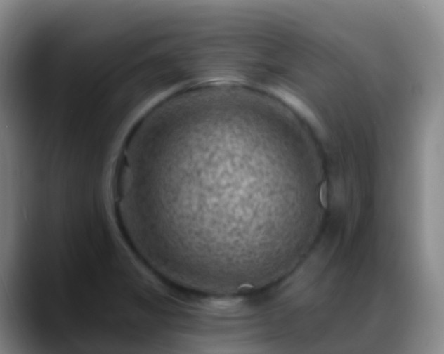 X0000088891325200706151822