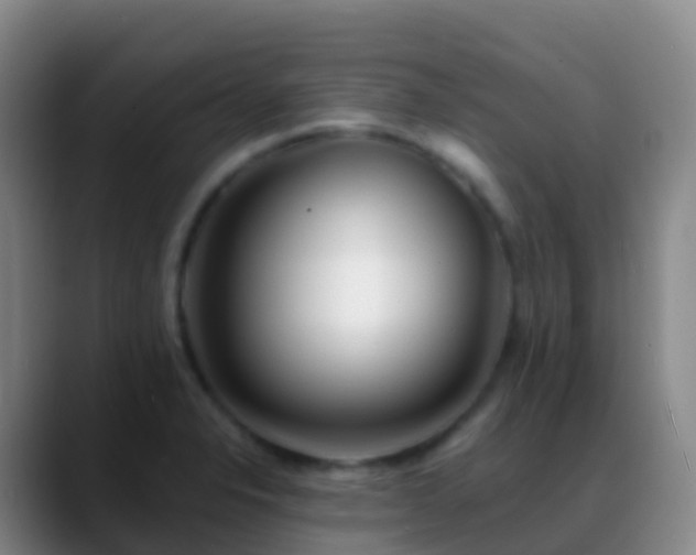 X0000088891326200706151822