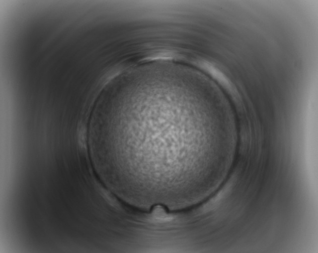 X0000088891329200706151823