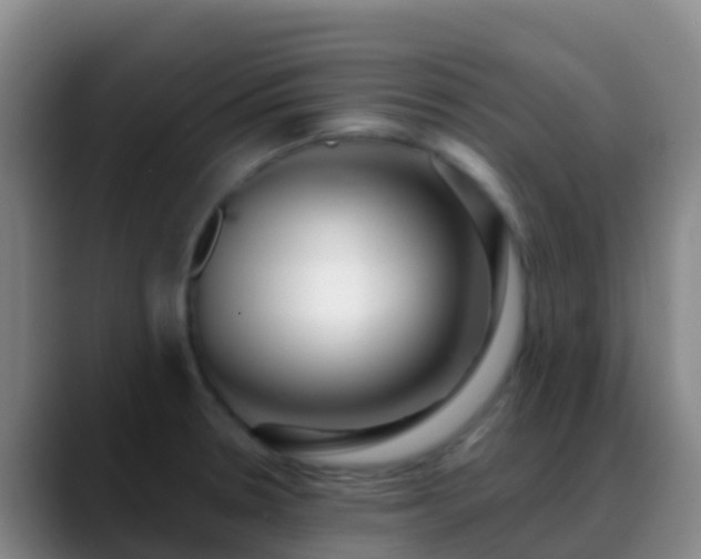 X0000088891330200706151823