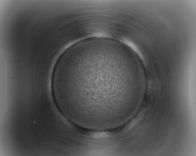 X0000088891331200706151823