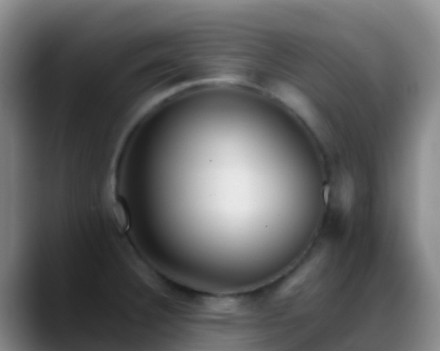 X0000088891332200706151823