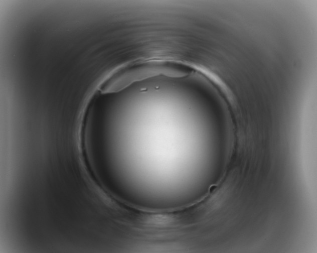 X0000088891333200706151823