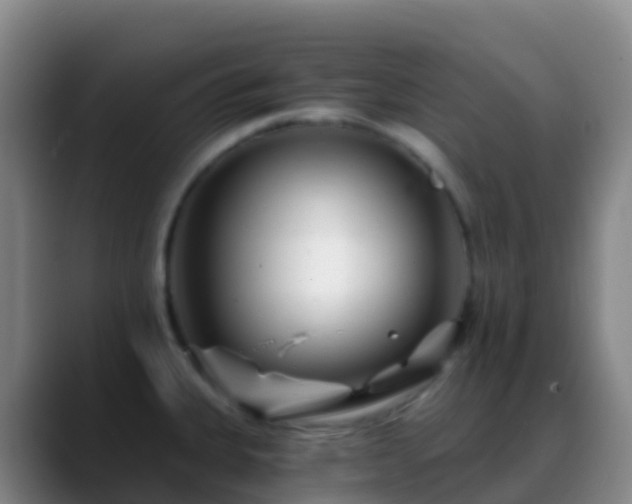 X0000088891335200706151823