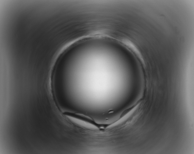 X0000088891336200706151823