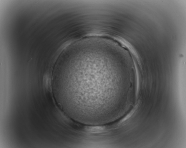 X0000088891337200706151823