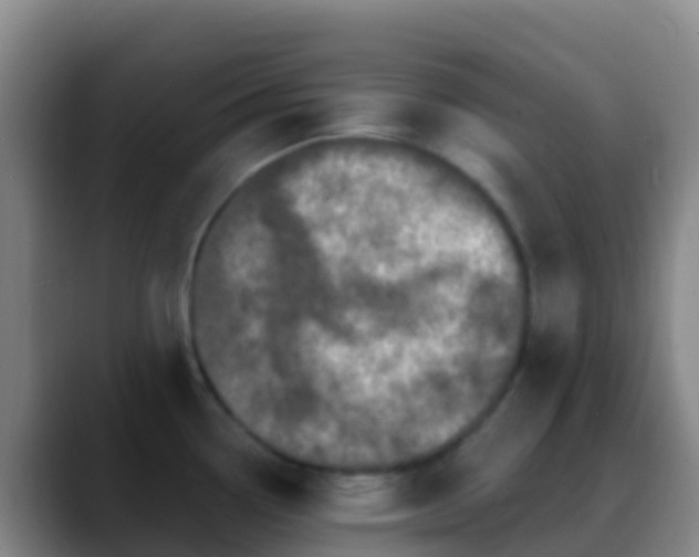 X0000088891338200706151823