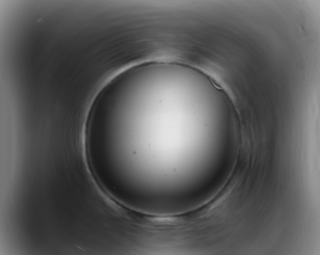 X0000088891343200706151823