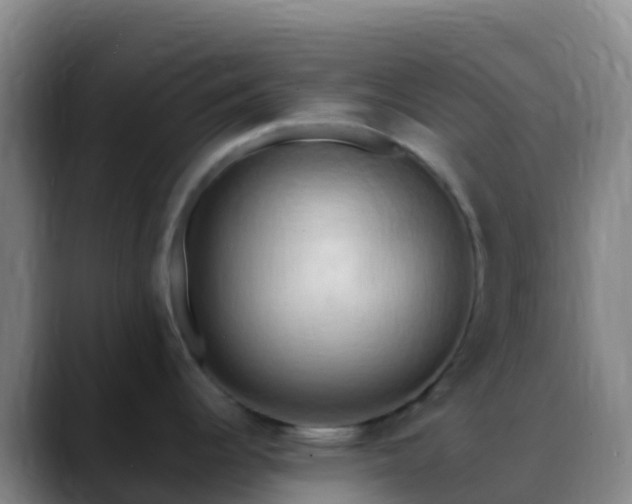 X0000088891344200706151823