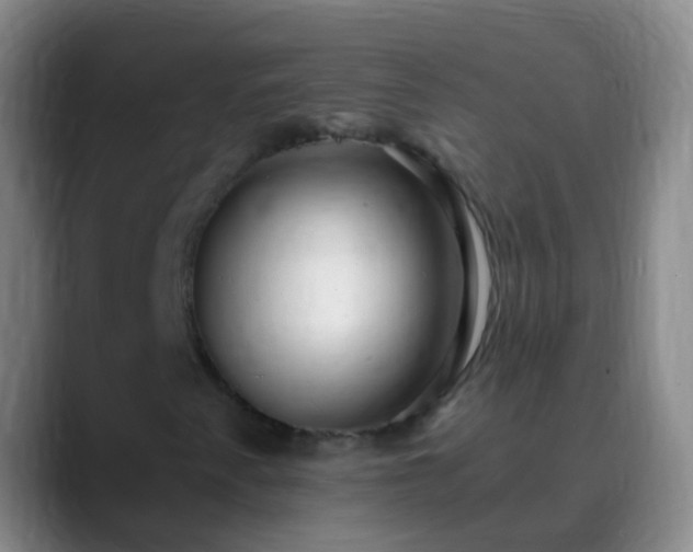 X0000088891345200706151822