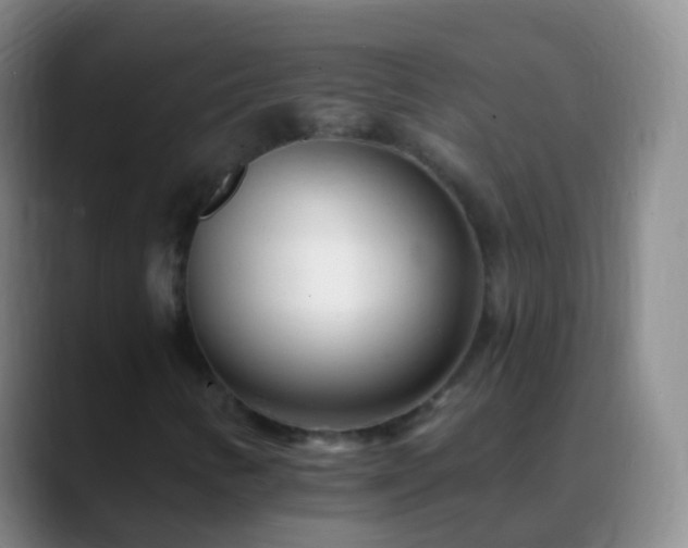 X0000088891346200706151822