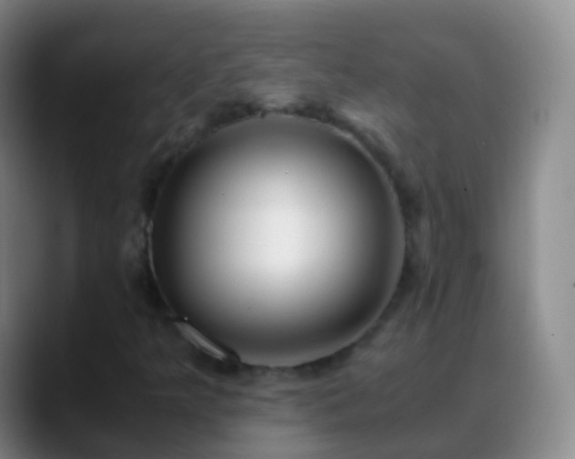 X0000088891349200706151822